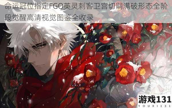 命运冠位指定FGO英灵刺客卫宫切嗣满破形态全阶段觉醒高清视觉图鉴全收录