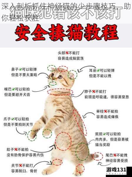 深入剖析抓住神经猫的少步骤技巧,助你轻松获胜