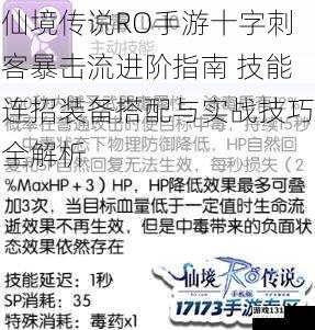 仙境传说RO手游十字刺客暴击流进阶指南 技能连招装备搭配与实战技巧全解析