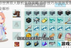 迷你世界双人联机生存攻略 合作技巧与高效发展流程全解析