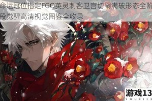 命运冠位指定FGO英灵刺客卫宫切嗣满破形态全阶段觉醒高清视觉图鉴全收录