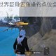 和平精英绿洲世界巨骨舌鱼垂钓点位全解析与高效捕获技巧分享