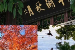江南百景图平湖秋月新观景点即将启幕，沉浸式湖光山色邀您共赏金秋胜境
