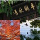 江南百景图平湖秋月新观景点即将启幕，沉浸式湖光山色邀您共赏金秋胜境