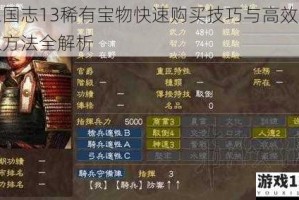 三国志13稀有宝物快速购买技巧与高效获取方法全解析