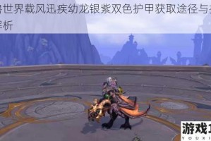 魔兽世界载风迅疾幼龙银紫双色护甲获取途径与技巧全解析