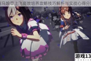 赛马娘草上飞高效培养攻略技巧解析与实战心得分享
