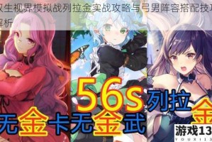 双生视界模拟战列拉金实战攻略与弓男阵容搭配技巧解析