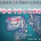 原神龙骨花凝珠核心作用解析与获取使用详细指南