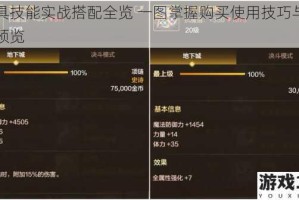 道具技能实战搭配全览 一图掌握购买使用技巧与截图预览