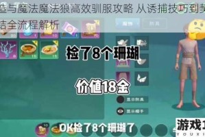 创造与魔法魔法狼高效驯服攻略 从诱捕技巧到契约缔结全流程解析