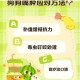 狗狗肿么了软件安装配置详细步骤与操作指南全解析
