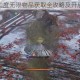 只狼影逝二度无限物品获取全攻略及开启步骤详解