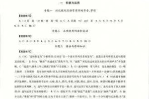 李泽言谎言谜题与因材施教策略解析 活动答案深度剖析全指南