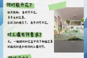 梦想星城植物种植全攻略 高效栽培技巧与步骤详解