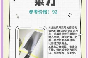 新手必看菜刀流开局武器选择与技能搭配全攻略助你轻松掌握高效输出技巧
