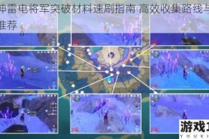 原神雷电将军突破材料速刷指南 高效收集路线与地点推荐