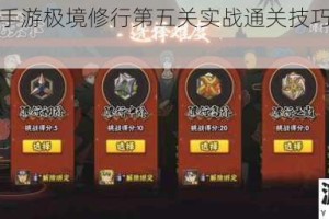 火影忍者手游极境修行第五关实战通关技巧与阵容搭配全解析