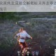 永劫无间众灵共主成就全解揭秘灵界主宰达成条件与终极路径指引