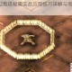 孤胆枪手2炮塔秘籍实战应用技巧详解与高效操作指南