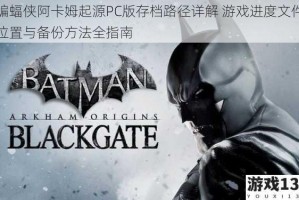 蝙蝠侠阿卡姆起源PC版存档路径详解 游戏进度文件位置与备份方法全指南