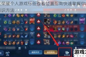 王者荣耀个人游戏标签查看位置指南快速掌握你的专属标识方法