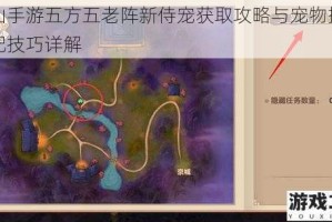 寻仙手游五方五老阵新侍宠获取攻略与宠物摆法搭配技巧详解