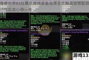 魔兽世界83狂暴战腐蚀装备选择全攻略高效搭配技巧与实战心得分享
