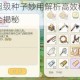 小森生活超级种子妙用解析高效种植技巧与核心作用全揭秘