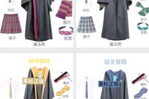 霍格沃茨之遗新生必看分院帽指引下的学院选择全攻略