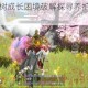妄想山海樱花树成长困境破解探寻养护误区与科学培育方案