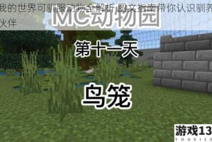 我的世界可驯服动物全解析 图文指南带你认识驯养伙伴