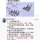铁骑踏山河古代战争巨象实战策略与攻城掠地战术应用全解析