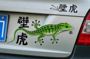 笑到扶墙盘点那些名字奇葩到颠覆认知的汉字汽车品牌你敢信它们真实存在吗