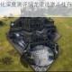 方舟生存进化深度测评驯龙建造激斗生存挑战与畅快体验全解析