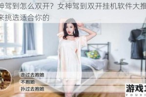 女神驾到怎么双开？女神驾到双开挂机软件大推荐，快来挑选适合你的