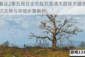 春巫2第五周目全流程完美通关路线关键选项选择与详细步骤解析