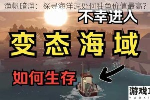 渔帆暗涌：探寻海洋深处何种鱼价值最高？