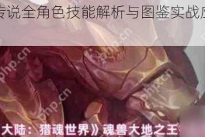轮回勇者传说全角色技能解析与图鉴实战应用功能详解