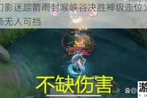 狄仁杰幻影迷踪箭雨封喉峡谷决胜神级走位火力全开瞬爆全场无人可挡