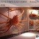 死亡空间3变异蟹怪实战打法解析：高效击杀技巧与弱点全攻略