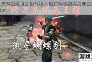 流星蝴蝶剑绝世剑招探秘从招式精髓到实战要诀的深度解析
