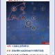 永劫无间新手必看快速入门攻略基础操作与关卡流程详解轻松通关技巧