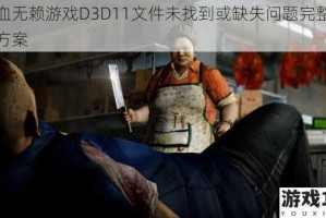 热血无赖游戏D3D11文件未找到或缺失问题完整修复方案
