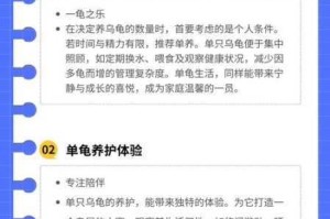 石器时代乌龟王阿库布起源背景解析与其在实战中的实用性深度评析