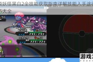 口袋妖怪黑白2全技能获取指南详解技能入手途径与技巧大全