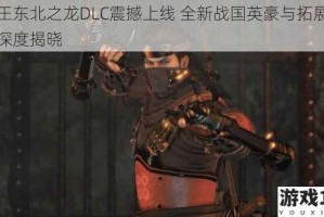仁王东北之龙DLC震撼上线 全新战国英豪与拓展剧情深度揭晓