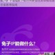 横行天下电脑版下载与高兼容性安卓模拟器安装推荐指南