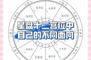 黄金十二宫扫荡功能解锁条件解析最高通关记录需达第几宫1208答案与攻略详解