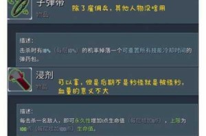 雨中冒险2无暇成就解锁指南 高效技巧与实战步骤全解析